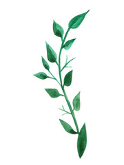 Obraz premium Hand drawn green leaf. Watercolor isolated object.