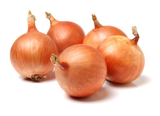 Gold onion vegetable bulbs on white background