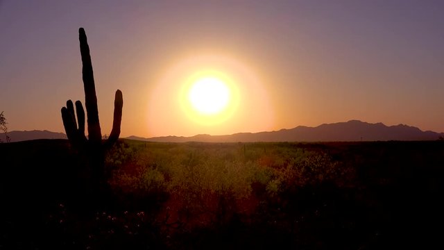A beautiful sunset at Saguaro National Park perfectly captures the Arizona desert.