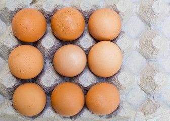 Fresh brown eggs in carton