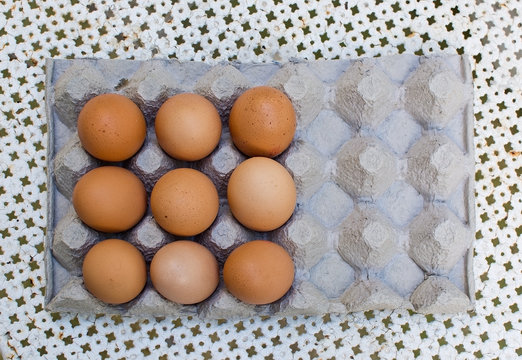 Fresh brown eggs in carton