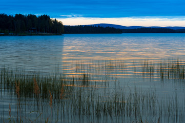 Calm placid freshwater lake at sunset with warm light on the water and pond weed plant in the front