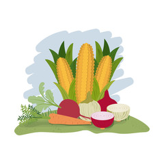 colorful graphic with set of vegetables vector illustration