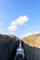 城ヶ島の岩場 Rugged coast