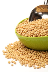 gold soybean isolated on white background 