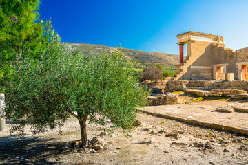 Old walls of Knossos near Heraklion. The ruins of the Minoan palaces is the largest archaeological site of all the palaces in Mediterranean island of Crete, UNESCO tentative list, Greece