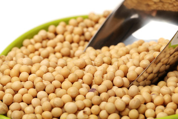 gold soybean isolated on white background 