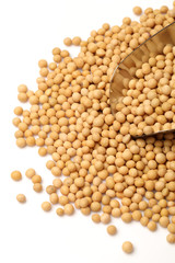 gold soybean isolated on white background 