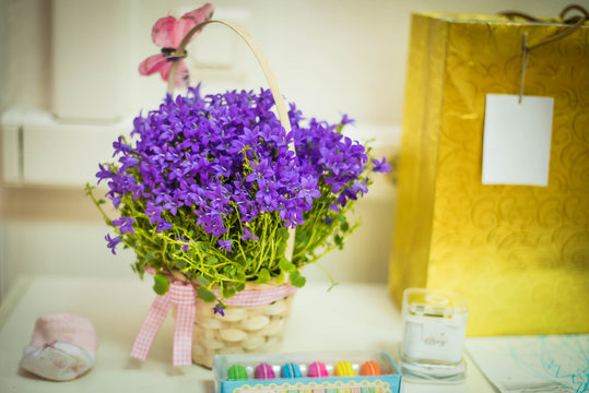 flower floral  lilac spring basket corf 