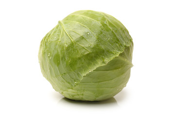 cabbage on white background
