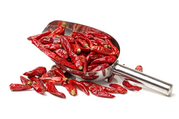 dry red pepper on white background 
