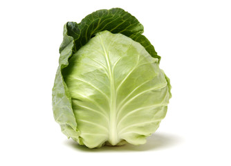 cabbage on white background