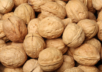 walnuts on white background 
