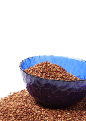 Sorgo seed (Sorghum Moench)