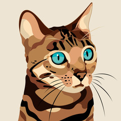 CAT、PET、BLOWN、猫、ペット、動物、一緒に暮らす、シマシマ、茶色