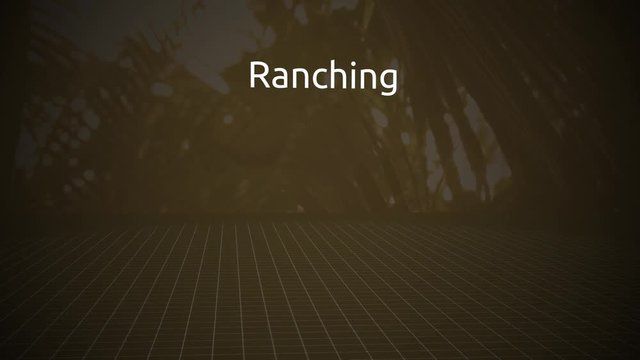 Threats to the Rain forest Motion Graphics Series - Ranching