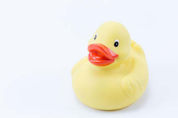Yellow rubber duck isolated on white background toy