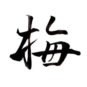 梅　文字　習字　アイコン