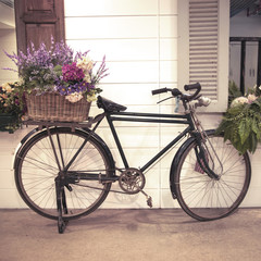 Fototapeta na wymiar vintage bicycle on vintage wooden house wall