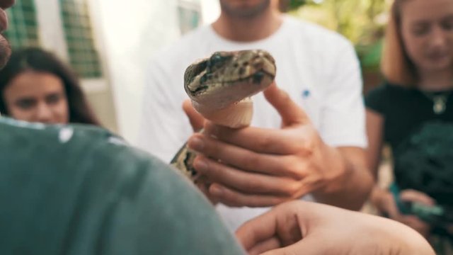 A Burmese python rests its head on a young tourists shoulder