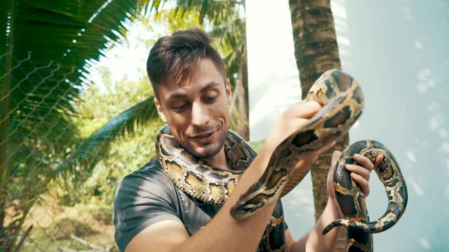 Young attractive male tourist stares and smiles at a Burmese python while holding it in his hands and around his neck