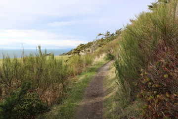 Pathway next to the ocean