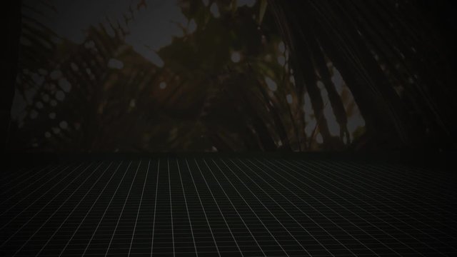 Threats to the Rain forest Motion Graphics Series - No Text for Generic use