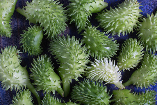fresh young achocha closeup in Ecuador