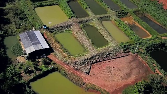 Incredible aerial view rising up over commercial fish farming ponds in a fishery in the Tocantins regions of Brazil