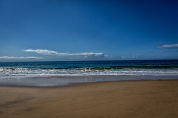 Obraz premium Spring