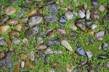 background textured,wet rocks on the ground