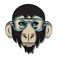 Cool hipster monkey head cartoon vector illustration graphic design