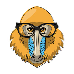 Cool hipster mandrel monkey head cartoon vector illustration graphic design