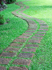 rock path way with green grass