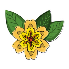 Beautiful flower symbol vector illustration graphic design