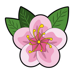 Beautiful flower symbol vector illustration graphic design