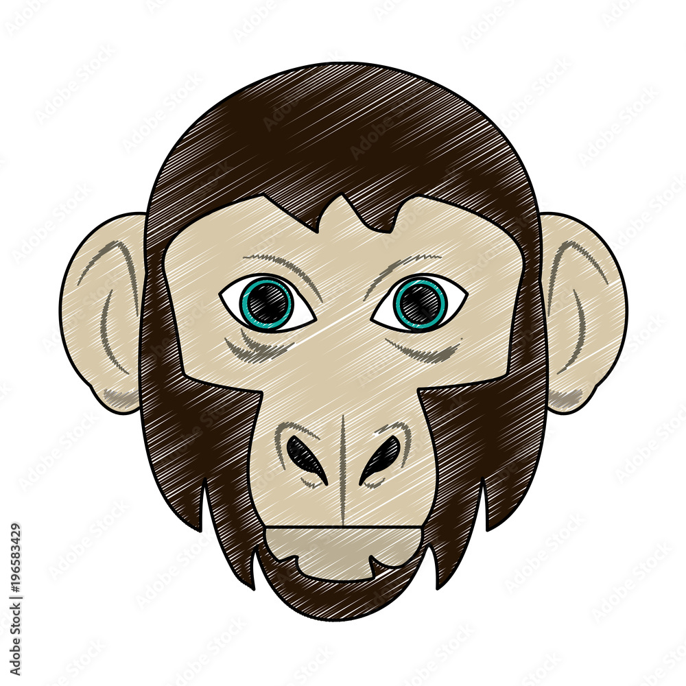 Canvas Prints Monkey Wild animal head vector illustration graphic design