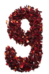 Number 9 from dried flowers of hibiscus tea on a white background. Number for banners, advertisements