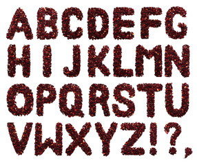 English alphabet. Letter from dried flowers of hibiscus tea on a white background. Letters for banners, advertisements