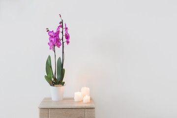 orchid and candles on white background