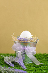 Easter concept - the egg in a decorative pail on the grass with Decker on a bright background.