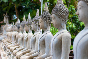 many buddha statue sit