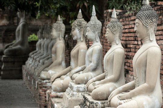 many buddha statue sit