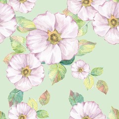 Delicate white flowers. Hand drawn watercolor floral seamless pattern 3