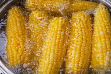 Boiled corn in a boiler