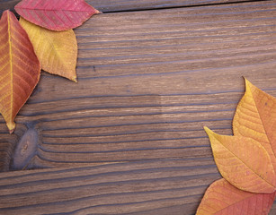 Fototapeta na wymiar autumn leaves on wooden table