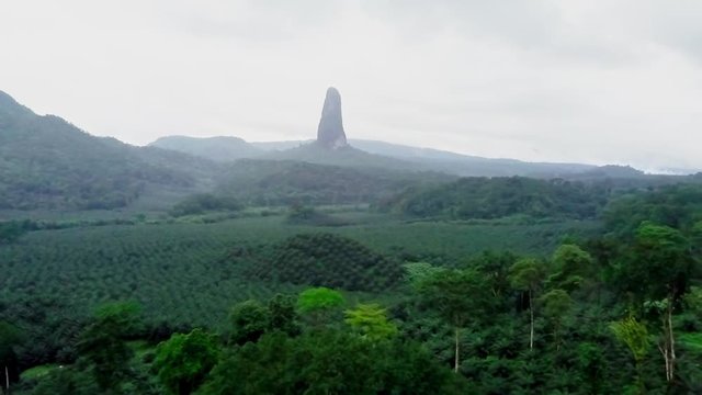 Pica cao peak and Palm plantation