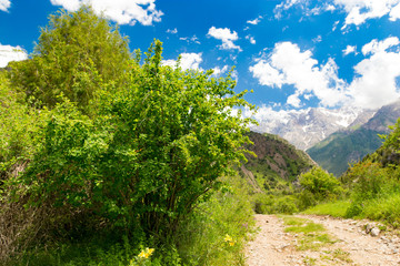 Fototapeta na wymiar A dirt road in the Tien Shan mountains in the spring