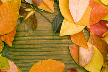 autumn leaves on wooden table