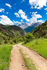Fototapeta na wymiar A dirt road in the Tien Shan mountains in the spring